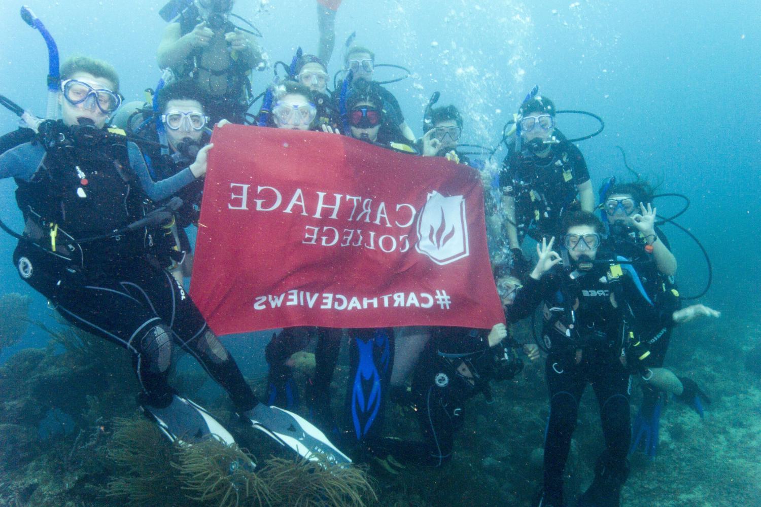 学生们手持<a href='http://vmp7.lfkgw.com'>bv伟德ios下载</a>旗帜，在j学期洪都拉斯游学之旅中潜水.